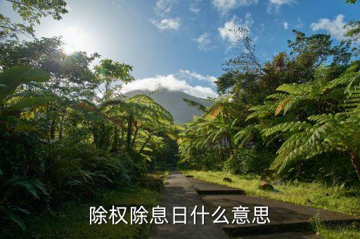 除權(quán)除息日什么意思