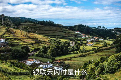 銀聯(lián)云閃付是什么