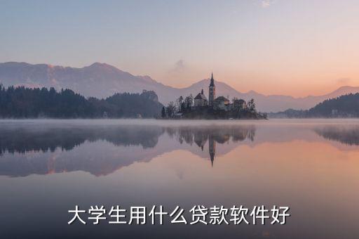 大學生貸款平臺什么好，大學生用什么貸款軟件好