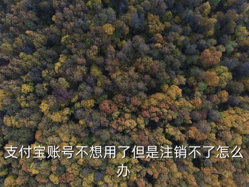 支付寶賬戶為什么無法注銷，支付寶賬號不想用了但是注銷不了怎么辦