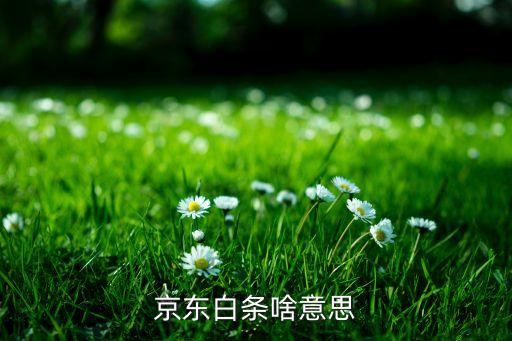 京東白條貸款什么意思，京東白條是什么