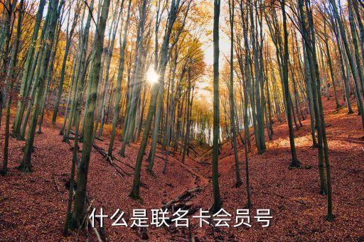 什么是聯(lián)名卡會員號
