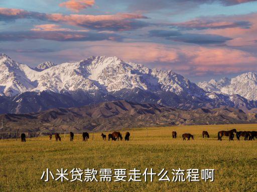 小米貸款需要走什么流程啊