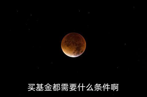 買基金都需要什么條件啊