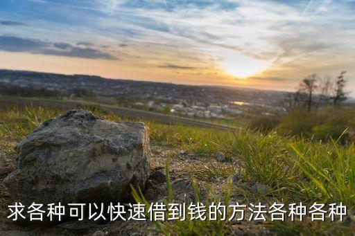 有什么能快速借到錢，有什么辦法可以快速借到錢