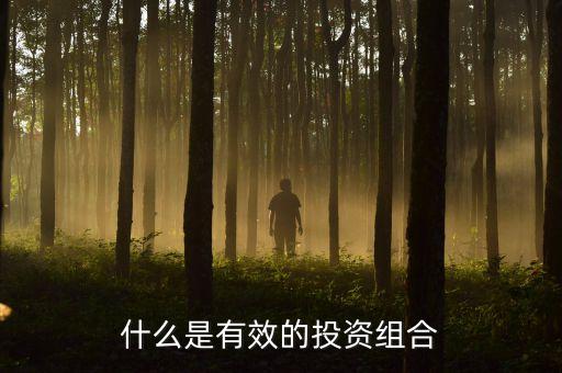什么叫有效投資，什么是有效的投資組合