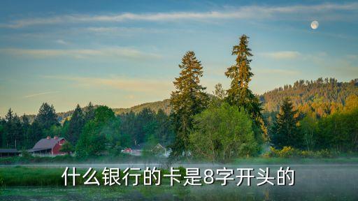 什么銀行的卡是8字開(kāi)頭的