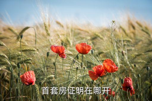 首套房證明在哪開