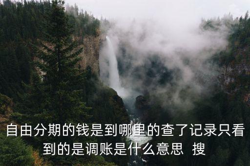 自由分期的錢是到哪里的查了記錄只看到的是調(diào)賬是什么意思  搜