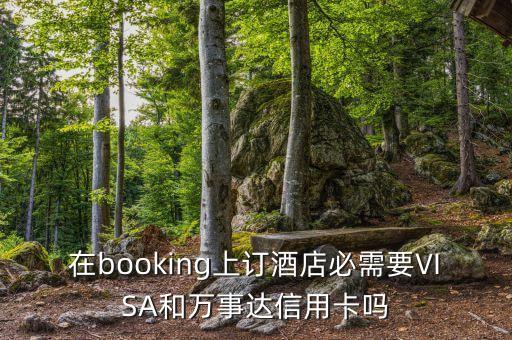 spg預定需要什么信用卡，在booking上訂酒店必需要VISA和萬事達信用卡嗎