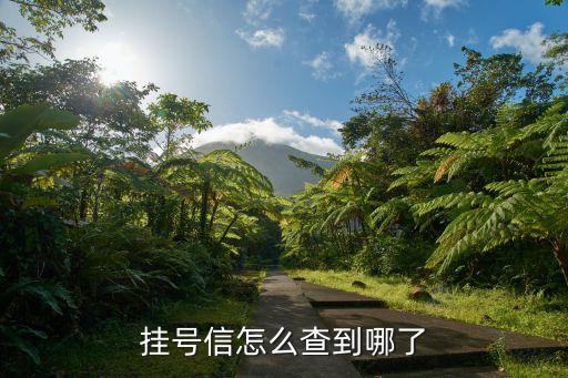 掛號(hào)信怎么查到哪了