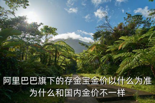 存金寶的什么金，存金寶是黃金t十d的價格嗎