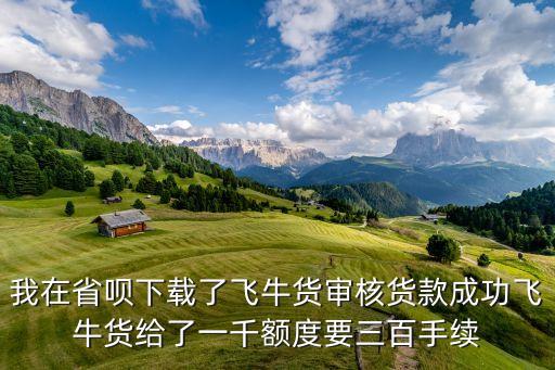 省唄為什么借款要 3000，我在省唄下載了飛牛貨審核貨款成功飛牛貨給了一千額度要三百手續(xù)
