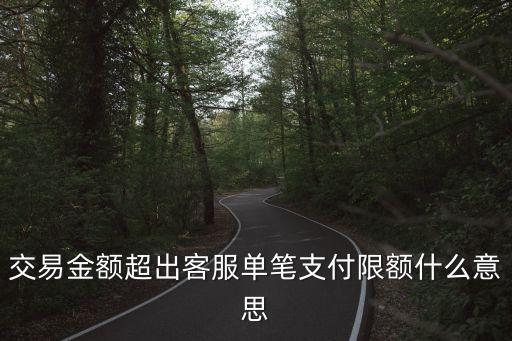 交易金額超出客服單筆支付限額什么意思