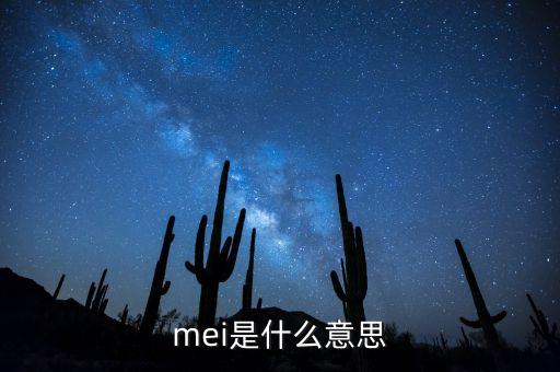 mei是什么意思