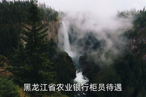 黑龍江省農(nóng)業(yè)銀行柜員待遇