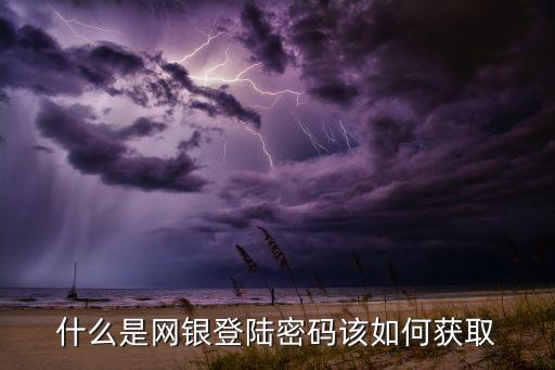 什么是網(wǎng)銀登陸密碼該如何獲取