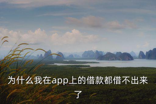 為什么我在app上的借款都借不出來(lái)了