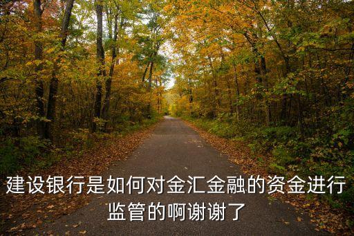 建設(shè)銀行是如何對金匯金融的資金進行監(jiān)管的啊謝謝了