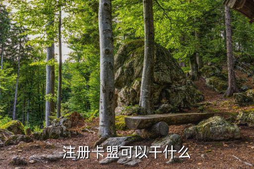 注冊卡盟可以干什么
