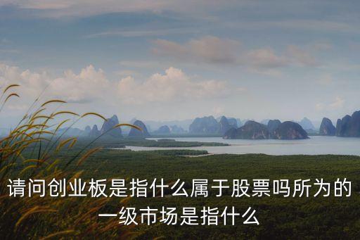 請問創(chuàng)業(yè)板是指什么屬于股票嗎所為的一級市場是指什么