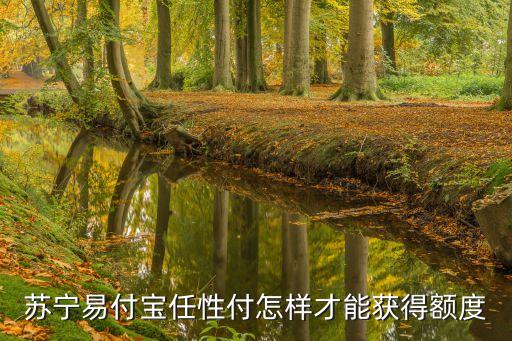 2017任性付怎么出額度，蘇寧易付寶任性付怎樣才能獲得額度