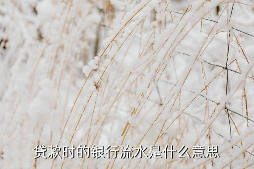按揭銀行流水指什么意思，按揭買房要銀行流水是什么啊