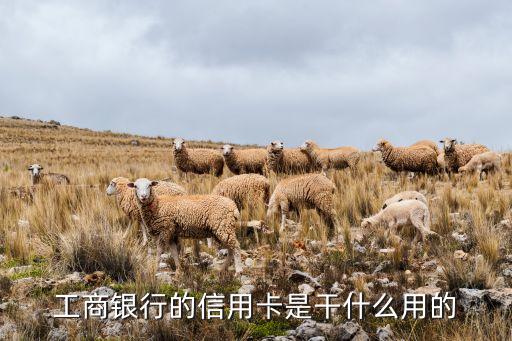 工商銀行的信用卡是干什么用的