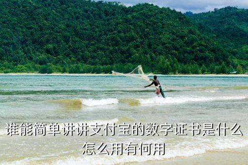 誰(shuí)能簡(jiǎn)單講講支付寶的數(shù)字證書(shū)是什么怎么用有何用