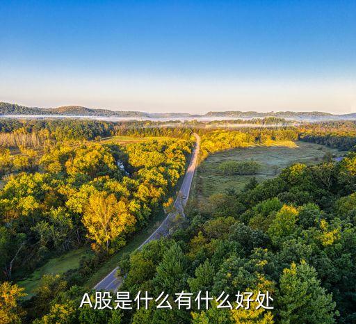 A股是什么有什么好處