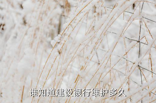 誰知道建設銀行維護多久