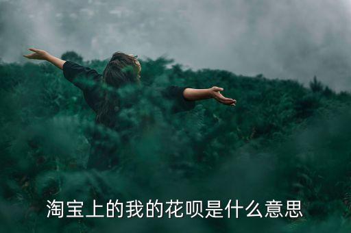 淘寶中我的花唄是什么意思，淘寶網(wǎng)上的螞蟻花唄是什么意思
