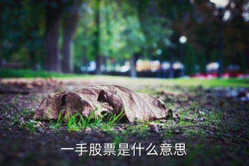 股票一手是什么意思，股票里一手是什么