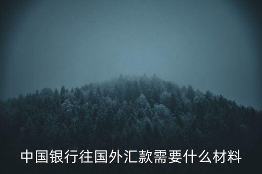 中國銀行往國外匯款需要什么材料