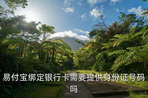 易付寶證件號(hào)是什么，在蘇寧易購(gòu)中申請(qǐng)易付寶 填入身份證的證件號(hào)為什么不對(duì)