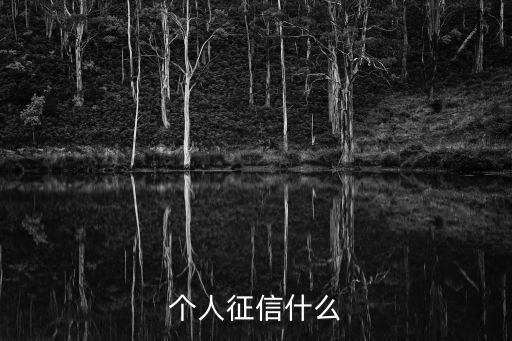 個人征信什么
