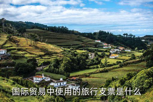 什么是旅行支票，國際貿(mào)易中使用的旅行支票是什么