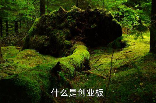 創(chuàng)業(yè)板是什么，什么是創(chuàng)業(yè)板
