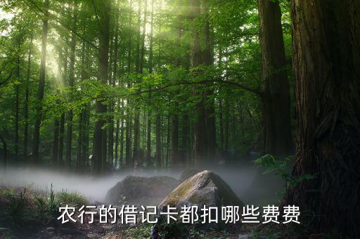 銀行卡都扣什么錢，銀行卡哪些方面扣費(fèi)啊