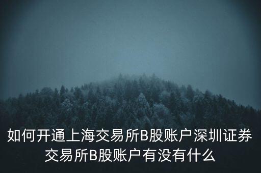 開b股賬戶需要什么條件，B股賬戶開戶需要什么條件
