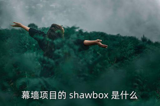 幕墻項(xiàng)目的 shawbox 是什么