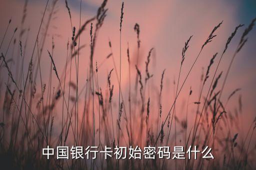 中國銀行卡初始密碼是什么