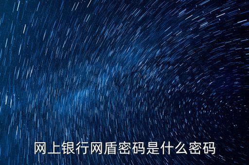 網(wǎng)上銀行網(wǎng)盾密碼是什么密碼