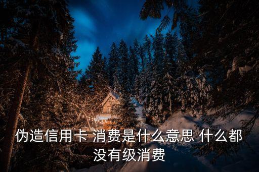 偽造信用卡 消費是什么意思 什么都沒有級消費