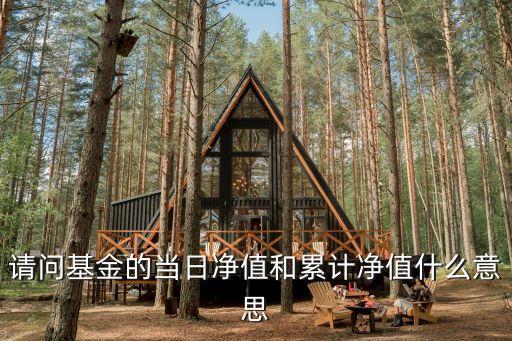 請問基金的當日凈值和累計凈值什么意思
