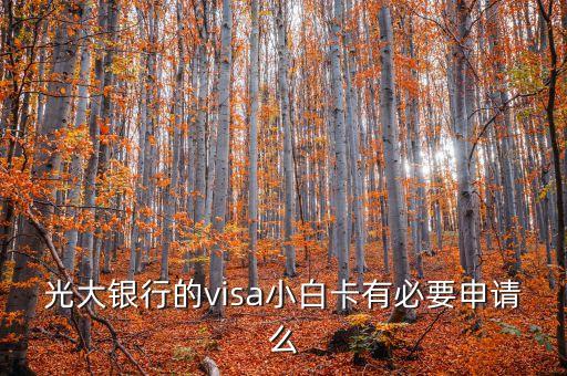 光大visa卡有什么用，光大銀行的visa小白卡有必要申請(qǐng)么
