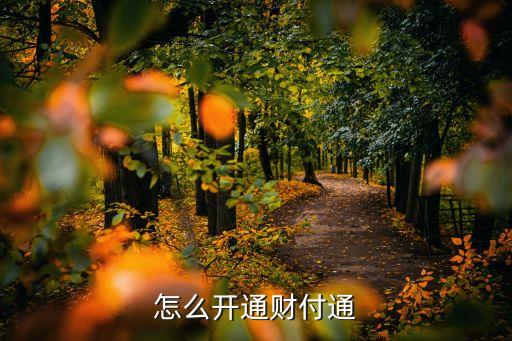 怎么開通財(cái)付通