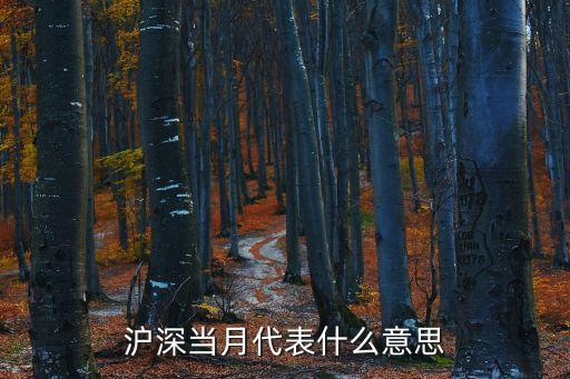 滬深當(dāng)月代表什么意思