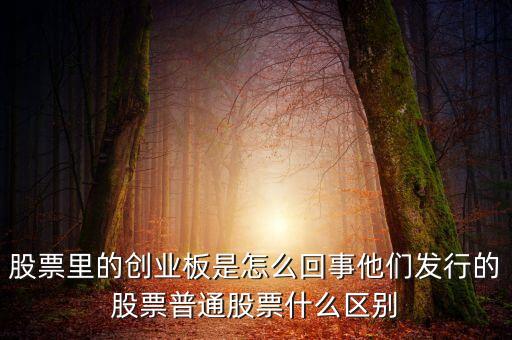 創(chuàng)業(yè)版有什么區(qū)別，股票里的創(chuàng)業(yè)板是怎么回事他們發(fā)行的股票普通股票什么區(qū)別