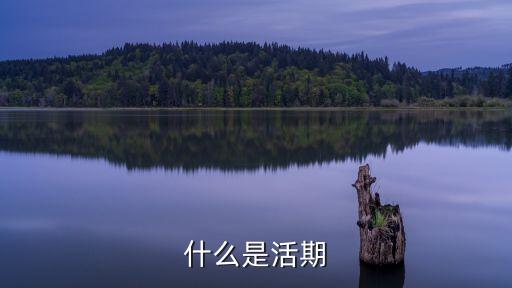 什么是活期